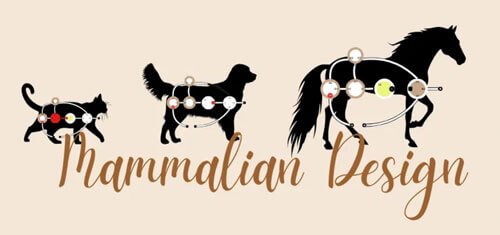 Geburtsdatum deines Tieres
herausfinden – ohne Tierpass!