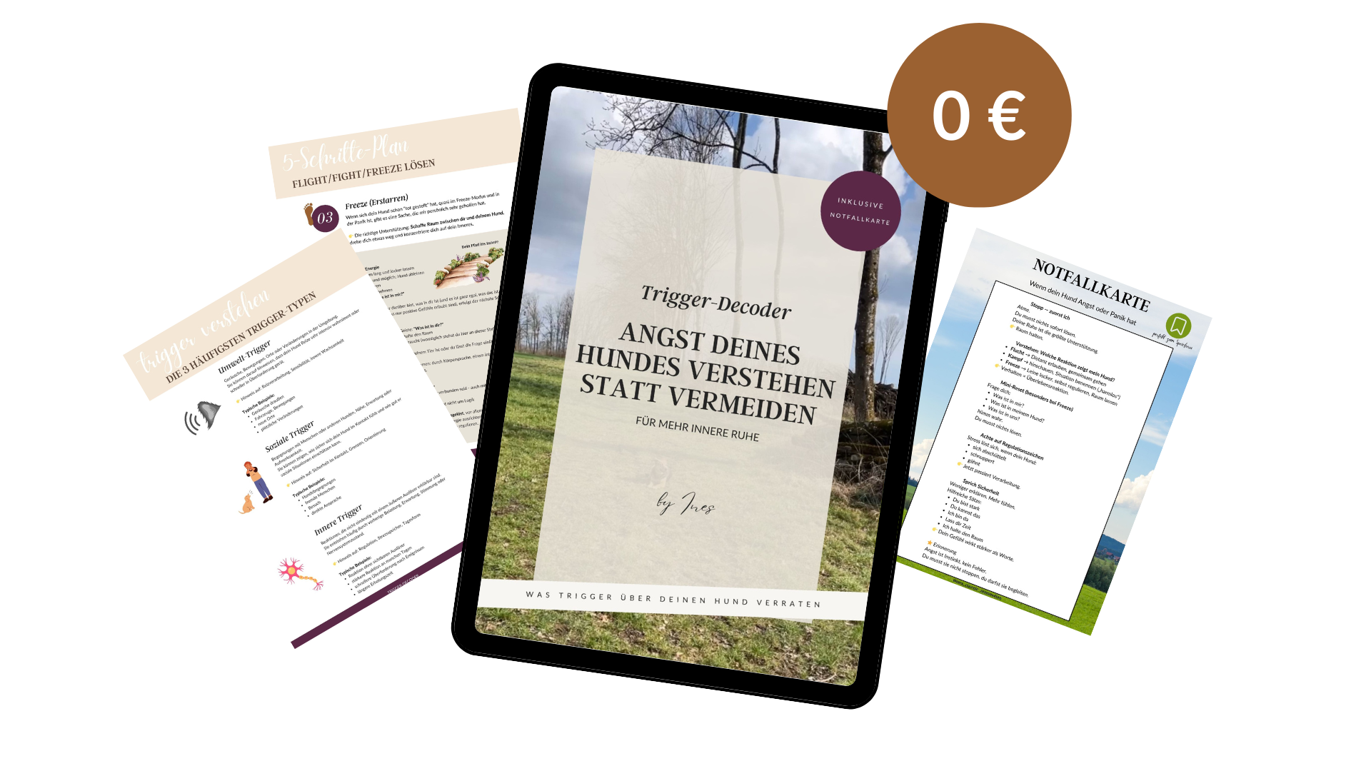 5-Schritte-Plan, wenn dein Hund Angst hat