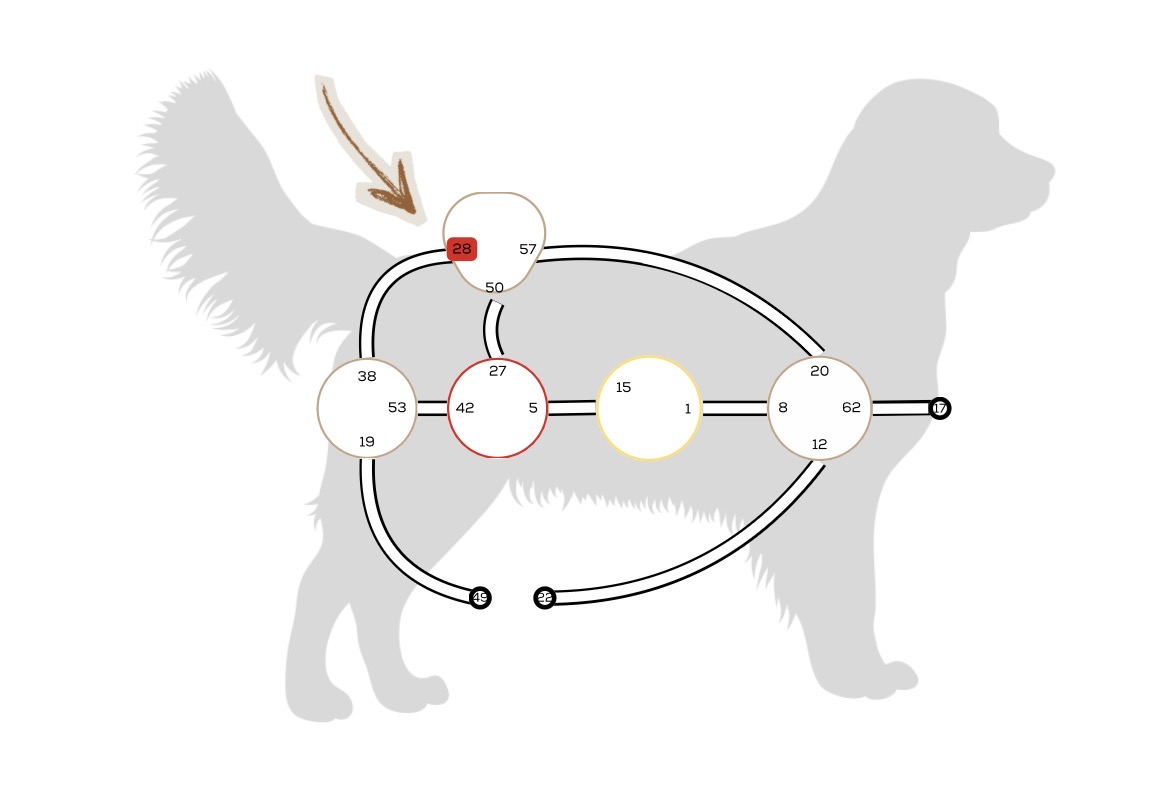 Mammalian Design Chart mit Tor 28, Tor der Angst