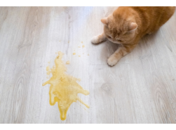 E-Mail Bild klein